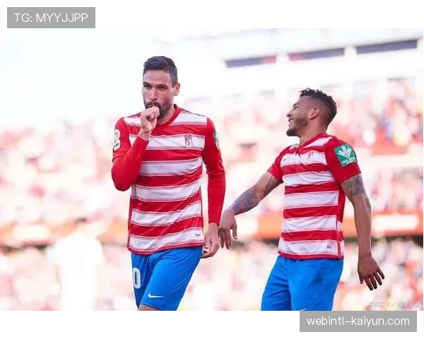 阿拉维斯进攻火力分散 缺乏稳定得分点成降级主因